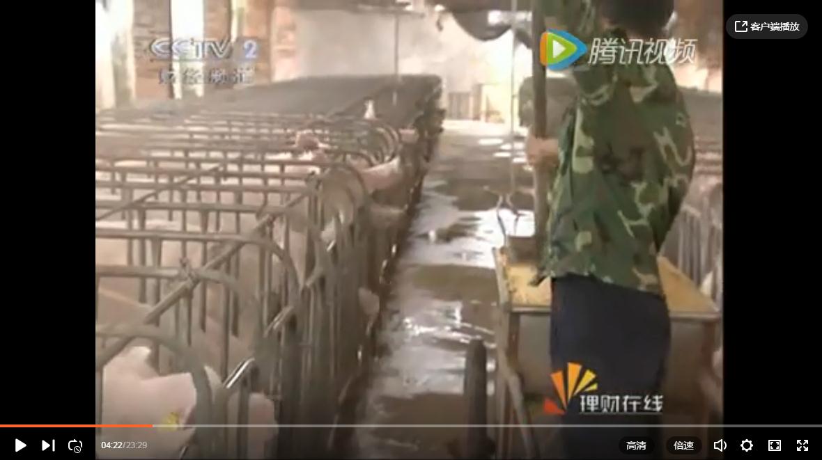 CCTV2理(lǐ)财在線(xiàn)-喝(hē)酸奶長(cháng)大的豬